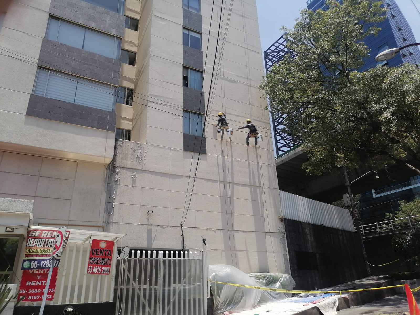 Limpieza de edificio 11